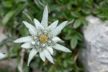 20190719-DSC03906.jpg 20190719-DSC03906.jpg