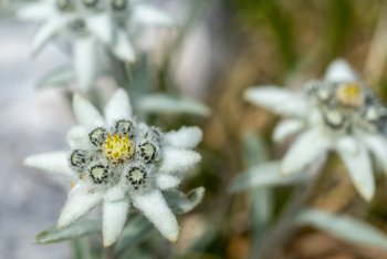 20190719-DSC03898.jpg 20190719-DSC03898.jpg