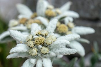 20190719-DSC03907.jpg 20190719-DSC03907.jpg