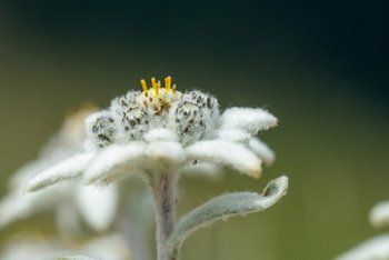 20190719-DSC03900.jpg 20190719-DSC03900.jpg