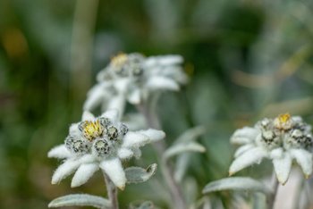 20190719-DSC03897.jpg 20190719-DSC03897.jpg